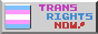 Trans Rights Banner